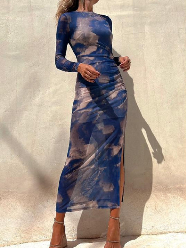 Sheer Print Bodycon Dress