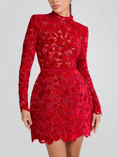 Velvet Embroidered Lace Mini Dress