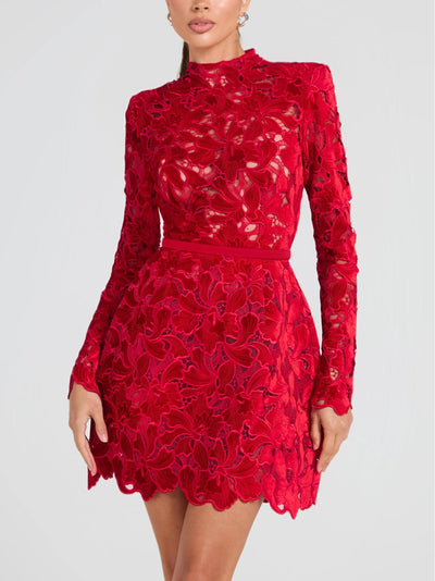 Velvet Embroidered Lace Mini Dress