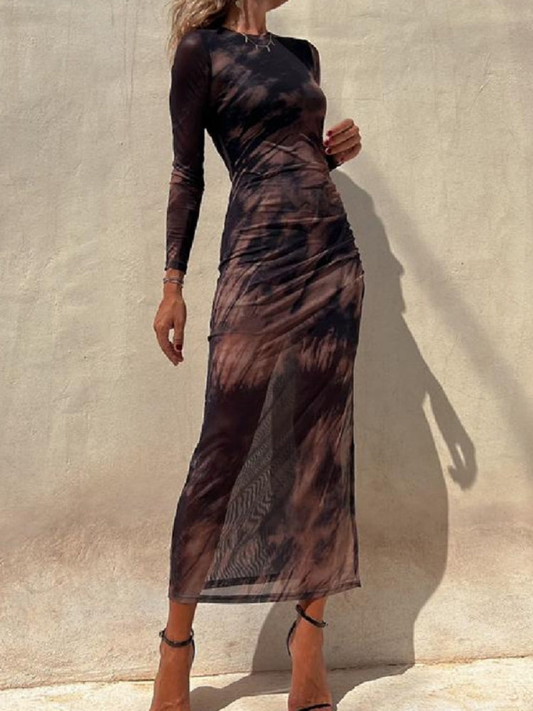 Sheer Print Bodycon Dress