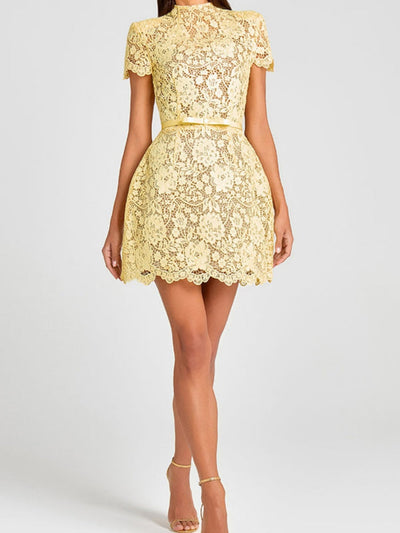 Embroidered Lace Belted Sheer Mini Dress