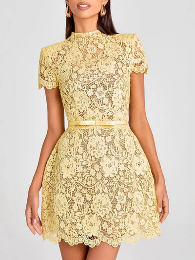 Embroidered Lace Belted Sheer Mini Dress
