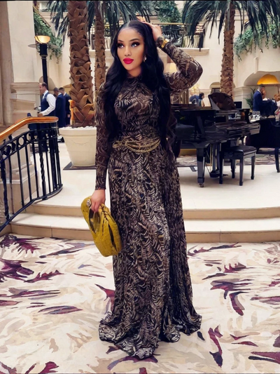 Brown Sheer Mesh Slim-Fit Maxi Dress